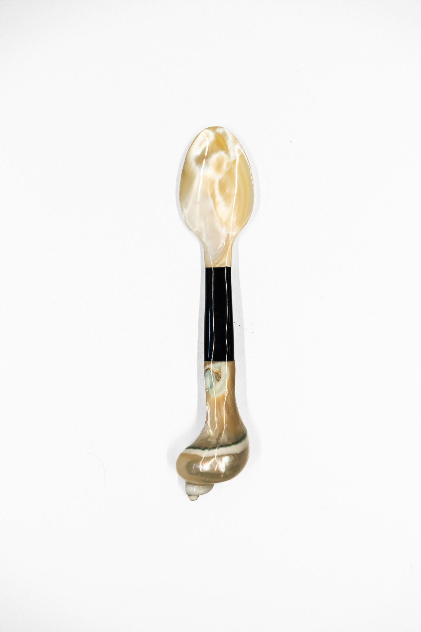 Mother of Pearl and Horn Spoon