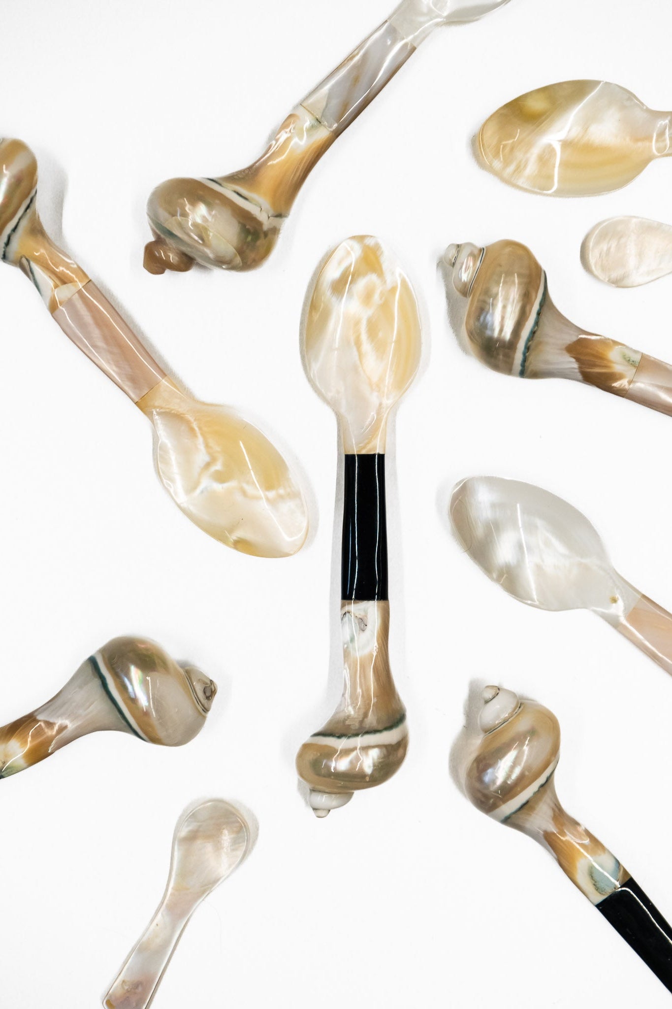 Mother of Pearl and Horn Spoon