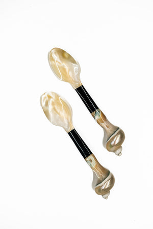 Mother of Pearl and Horn Spoon