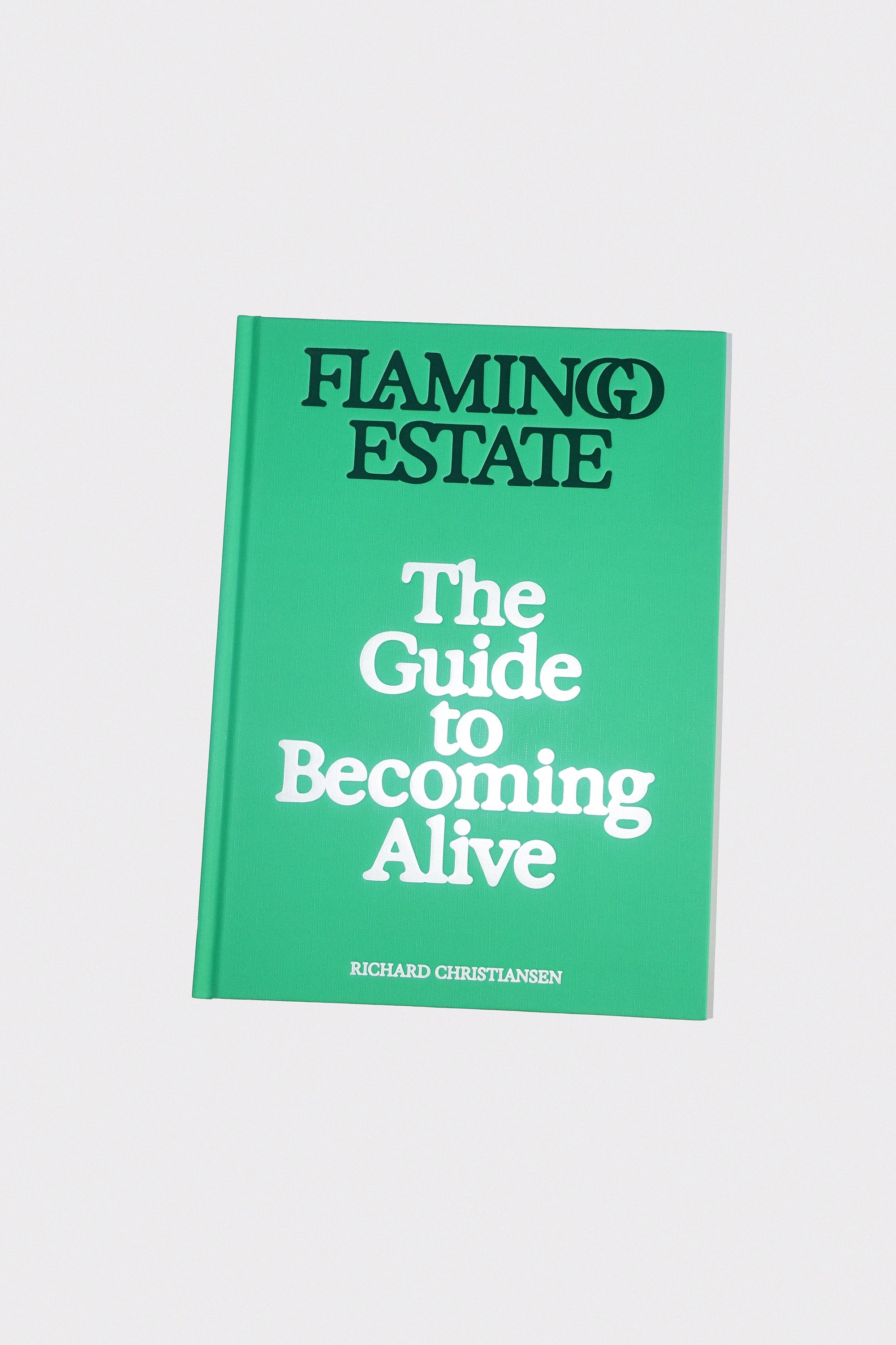 The Guide to Becoming Alive